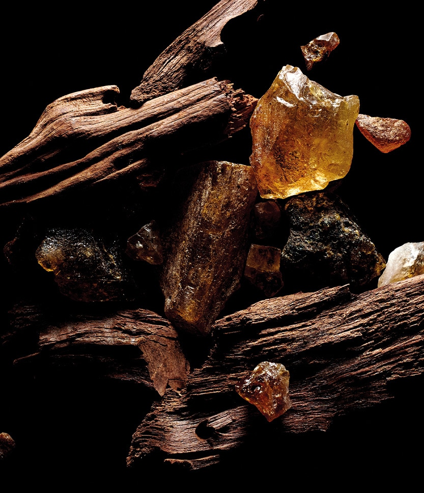 Sacred Wood - Parfum Boisé - Les Bois de Caves | KILIAN PARIS